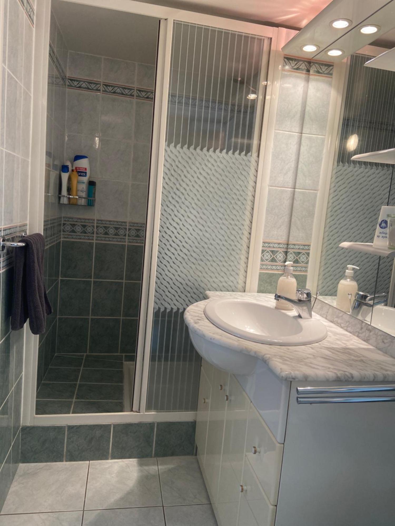 Sweet Home - 55M2 Appartment, Garden, Swimming Pool, Parking Toulouse Exteriör bild