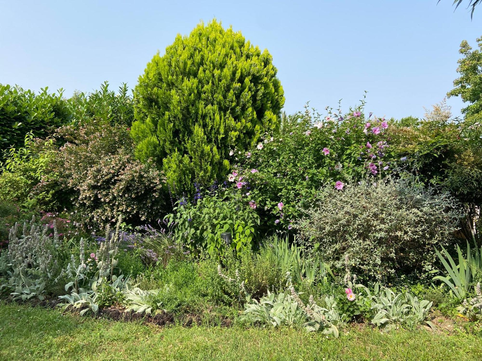Sweet Home - 55M2 Appartment, Garden, Swimming Pool, Parking Toulouse Exteriör bild